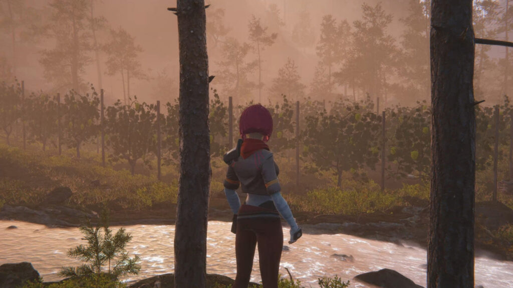 Auriga Mountain Winery